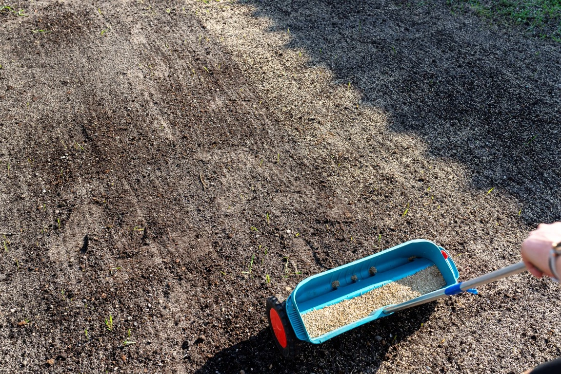 Inzaaien gazon stap voor stap in Nederland: timing, zaad en nazorg